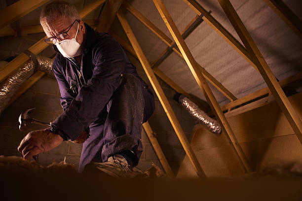 Best Insulation for Specific Applications in Largo, FL