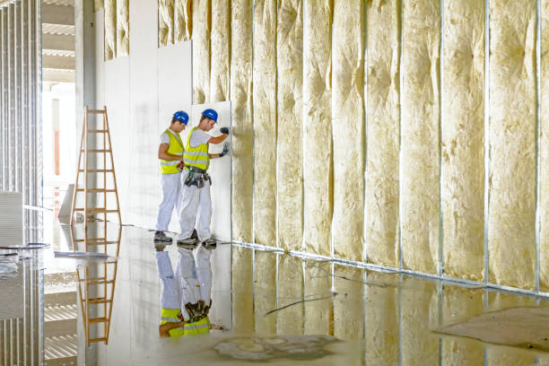 Professional Insulation Contractor in Largo, FL